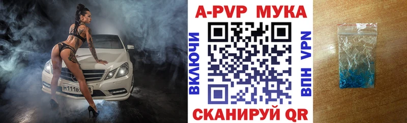 APVP СК Ногинск