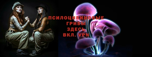 дмт Медногорск