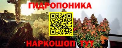 МДПВ Бийск