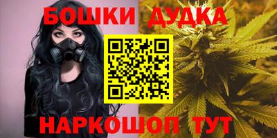 МДПВ Бийск