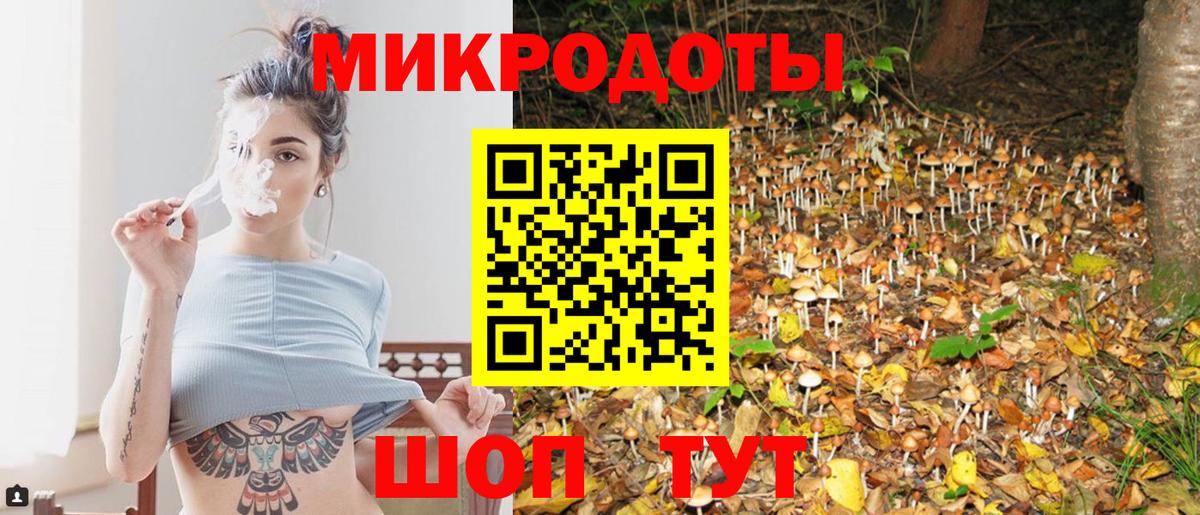 Псилоцибиновые грибы мицелий Ногинск